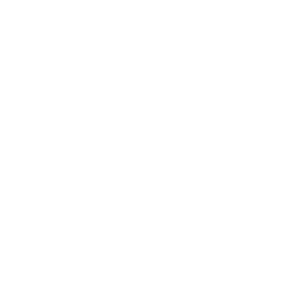 Donnatelo Collection